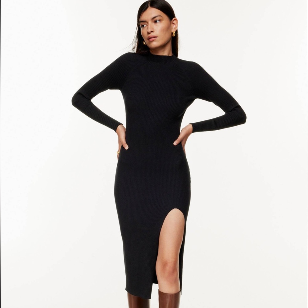Aritzia Wilfred Alchemy Dress Size Medium